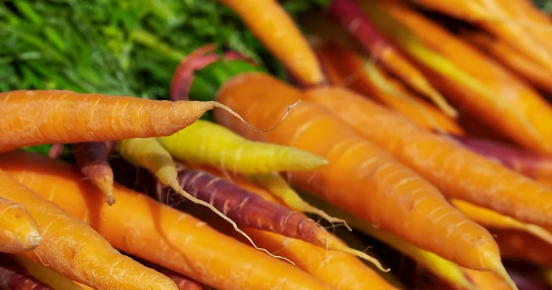 Recettes avec des carottes à la poêle : rapides, pour les soirs de semaine