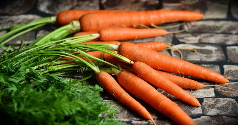 Recettes avec des carottes crues : pas seulement la carotte râpée