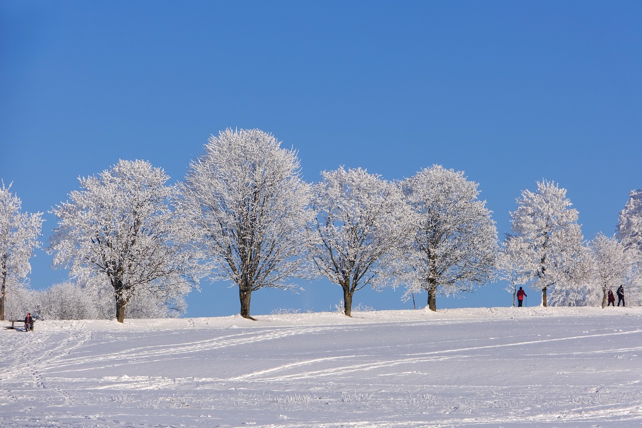 Comment sublimer les légumes de saison en hiver ?