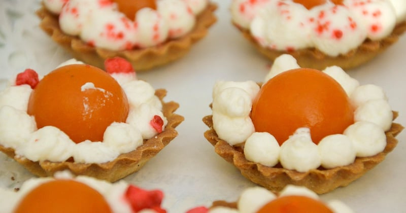 La tarte abricots de grand-mère, la recette rustique qui fait fondre toute la famille