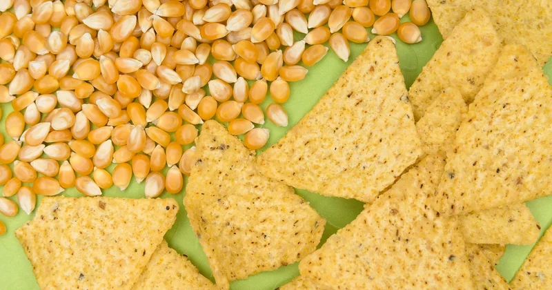 Le menu Taco Bell, expliqué à quelqu'un qui n'y a jamais mangé
