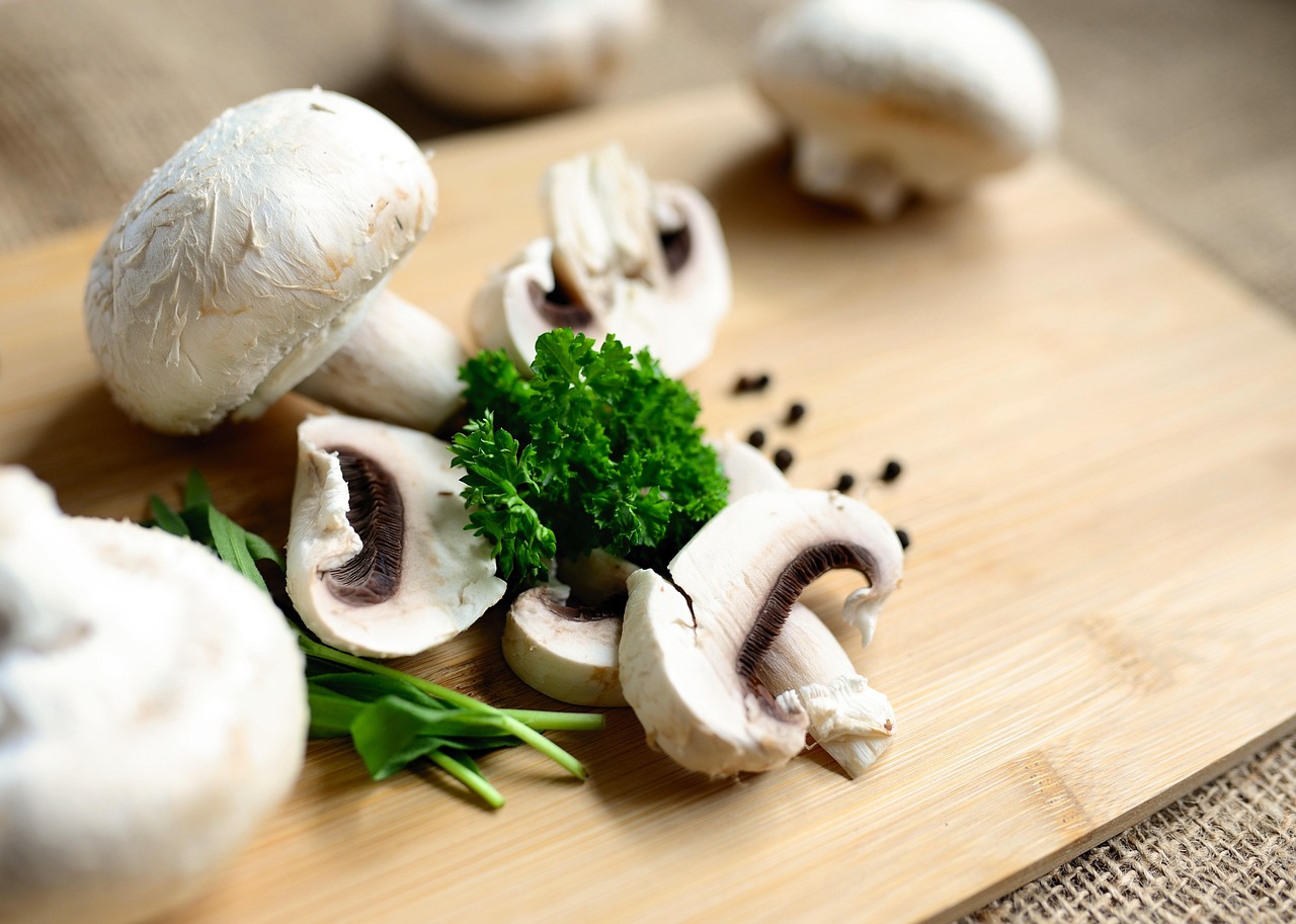 Plat végétarien facile : recettes rapides et savoureuses à essayer dès aujourd’hui