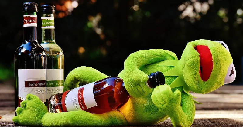 Cognac, whisky, pastis, rhum : quel alcool pour quel effet