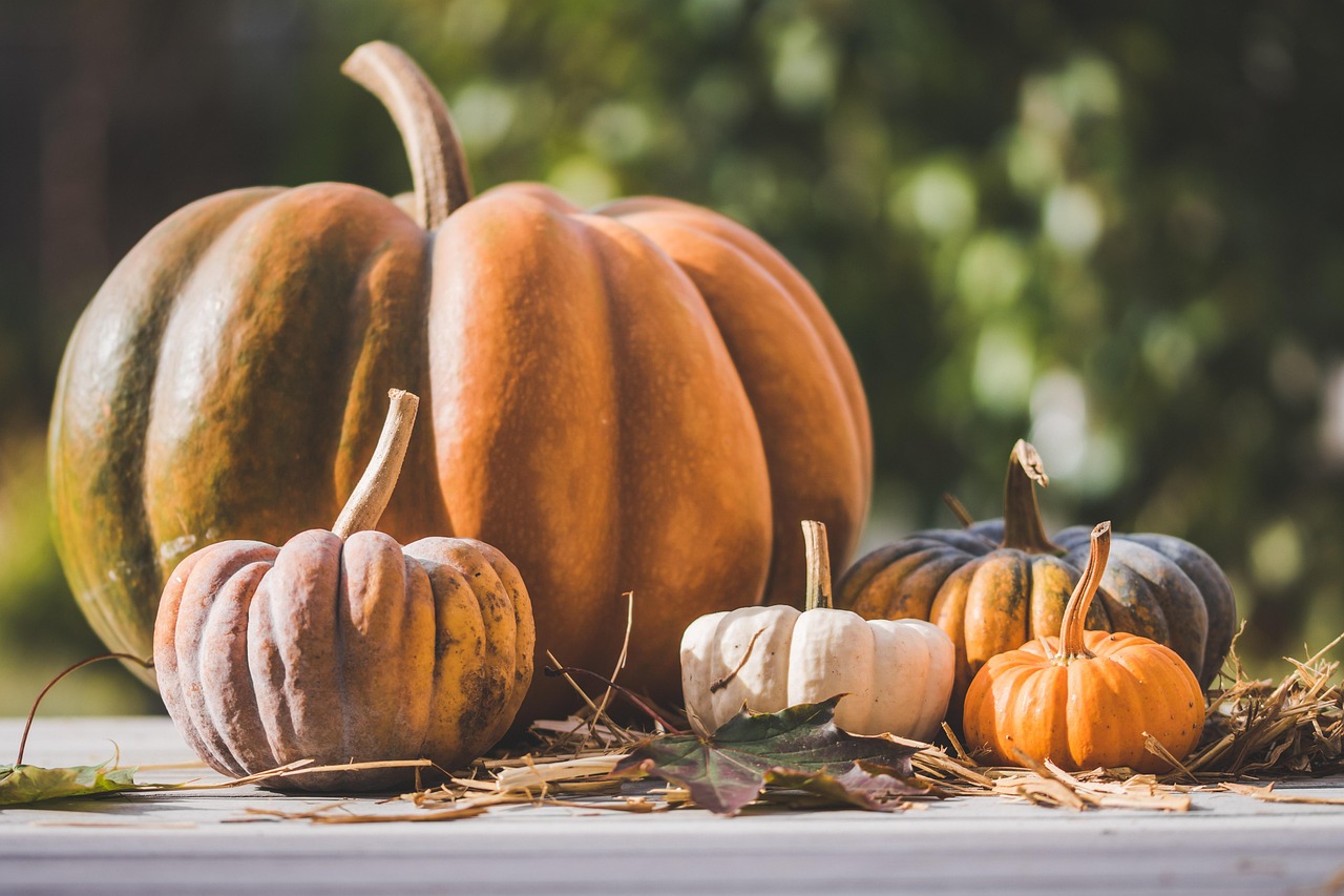 découvrez les légumes de saison : profitez de la fraîcheur et des saveurs authentiques des produits locaux tout au long de l'année. apprenez à les cuisiner et à les intégrer dans vos plats pour une alimentation saine et savoureuse.