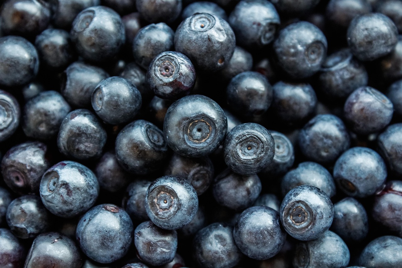 découvrez une sélection gourmande de desserts alliant saveurs sucrées et créativité. recettes faciles, astuces et idées pour régaler vos papilles à chaque occasion !