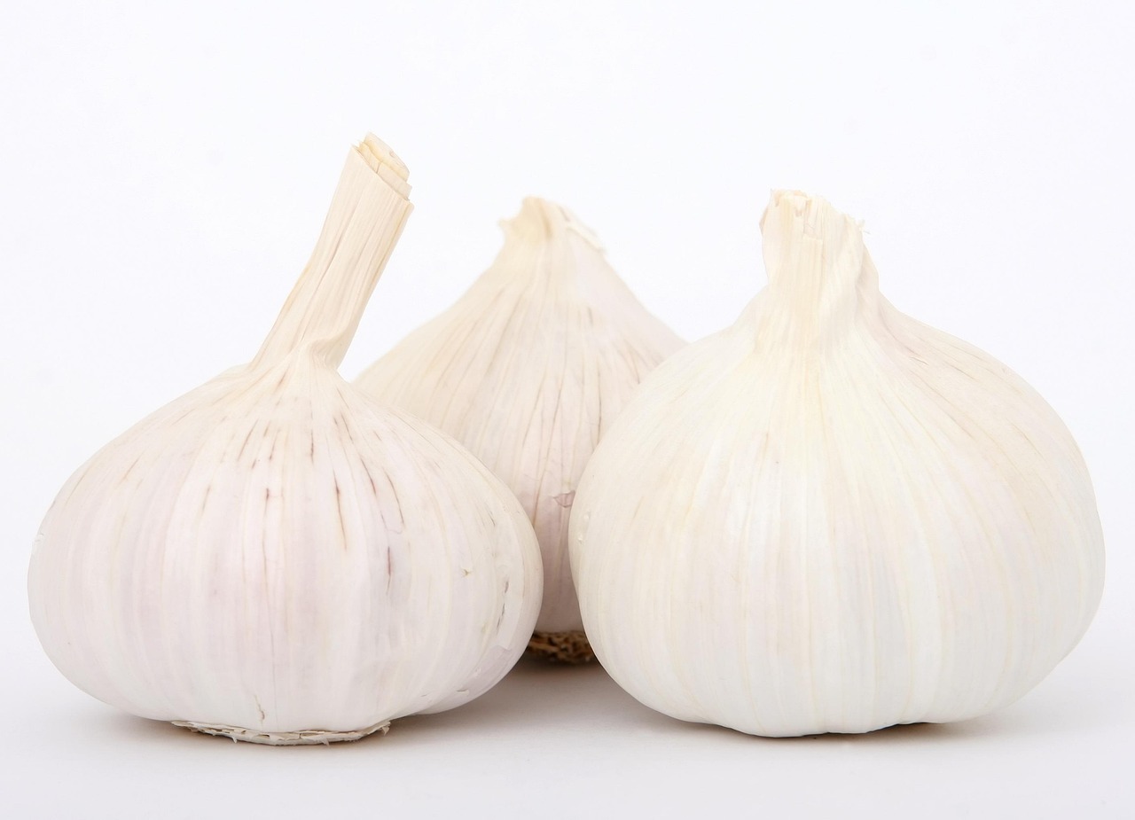 découvrez des recettes savoureuses et faciles pour la cuisine végétarienne. conseils, astuces et idées de plats gourmands pour adopter une alimentation saine et équilibrée.